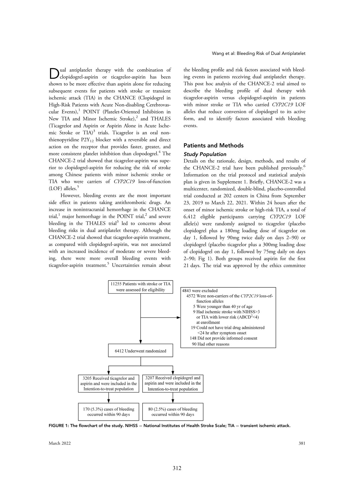 Title: Understanding the Tie Rank System in Professional Context