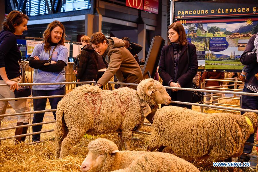 The story of a Tie Brand: From Sheep to Fashion