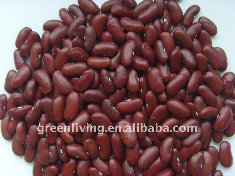 Red Bean Brand Ties: A Symbol of Elegance and Quality