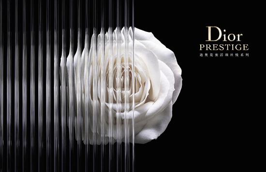 Dior - The Premier Choice for Fashionable Leaders