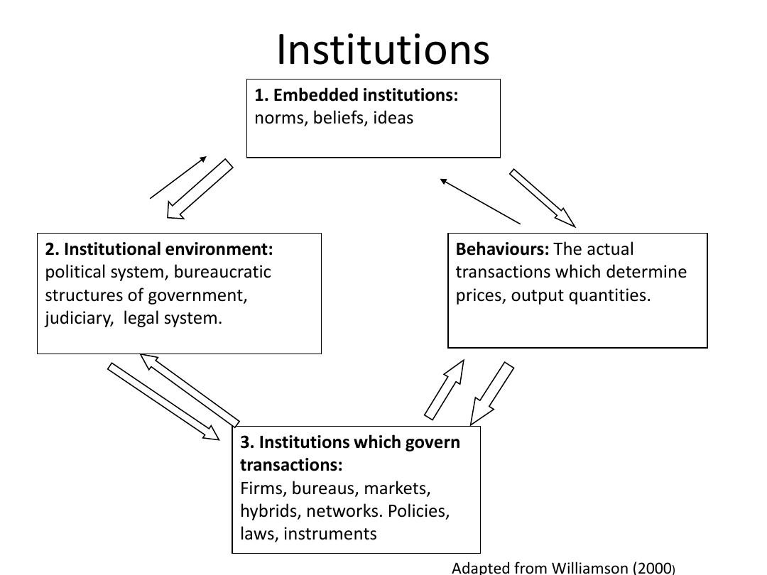 Title: The Debate on Narrow vs. Wide Ties: A Comprehensive Analysis
