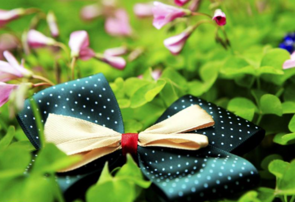 The Butterfly Tie Award