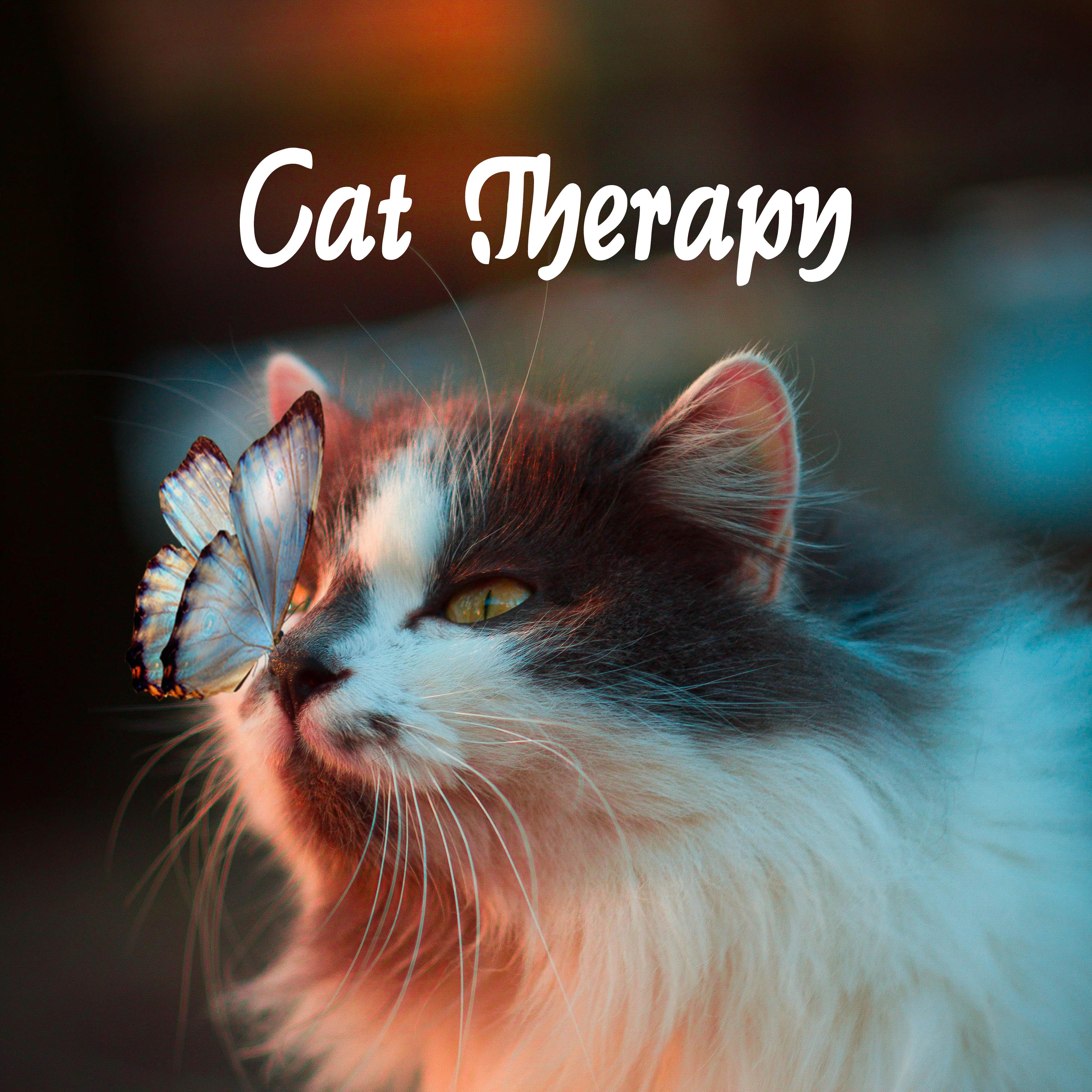 Title: The Enchanting Journey of the Tie Cat: A Tale of Hospitality and Charm