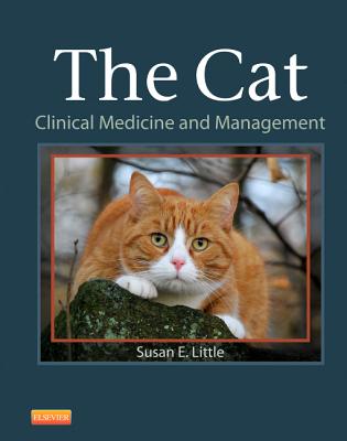 Title: The Enchanting Journey of the Tie Cat: A Tale of Hospitality and Charm