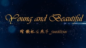 Young and High-End Tie Brands: A Recommended Guide on知乎