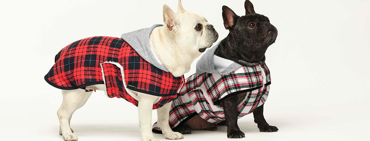 Title: The Best Brand to Get Dog Suits and Ties for Men