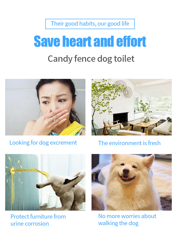 Title: Embark on a Trendy Adventure with Dog Paw Print Ties: A Brand Dedicated to Pet Love
