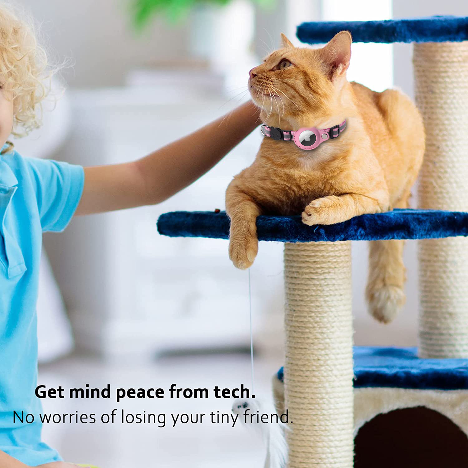 Title: Top 10 Cat Collar Brands: The Ultimate Guide for Cat Parents