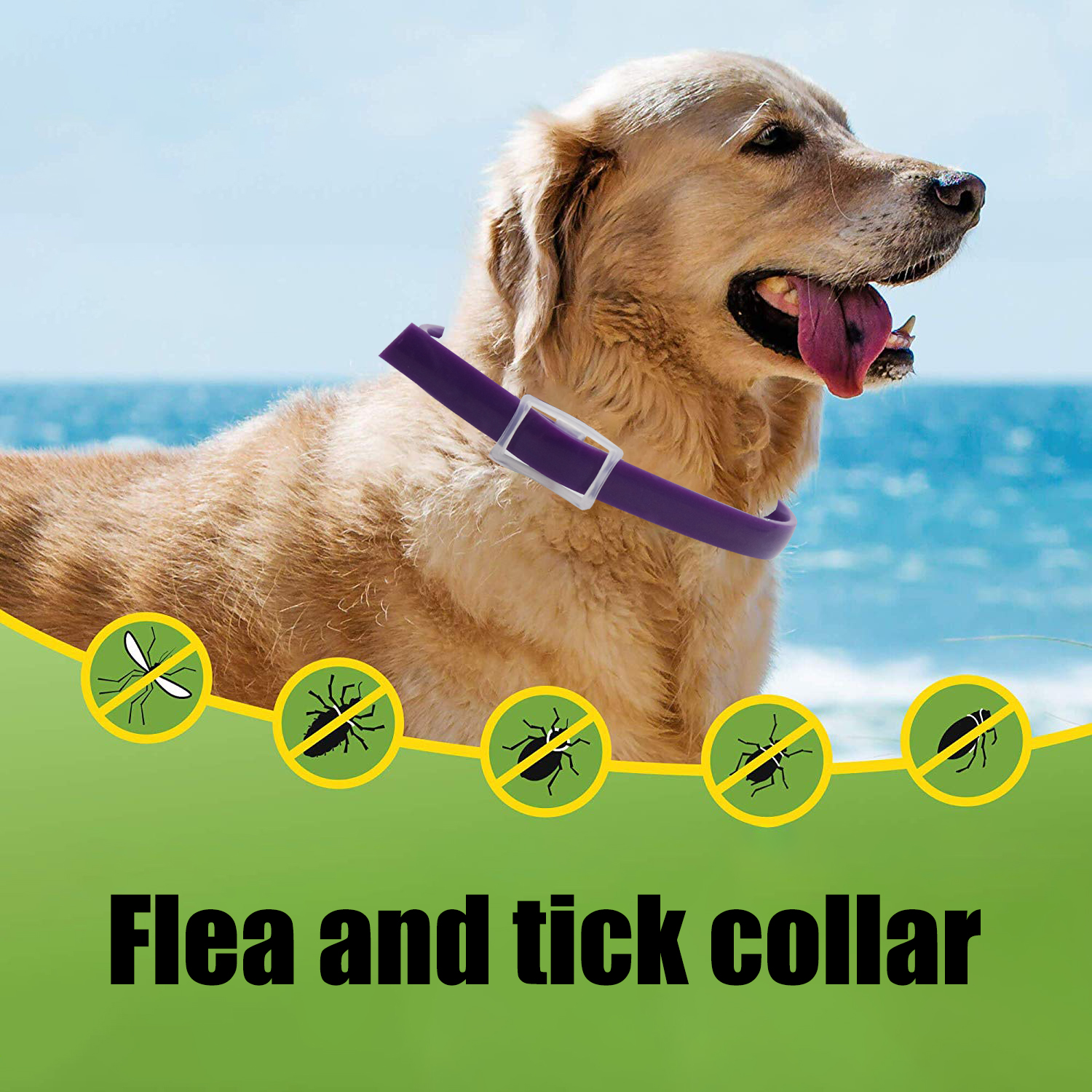Title: Learn How to Craft a Dog Tie-Collar in Just 5 Easy Steps with Our Video Tutorial!