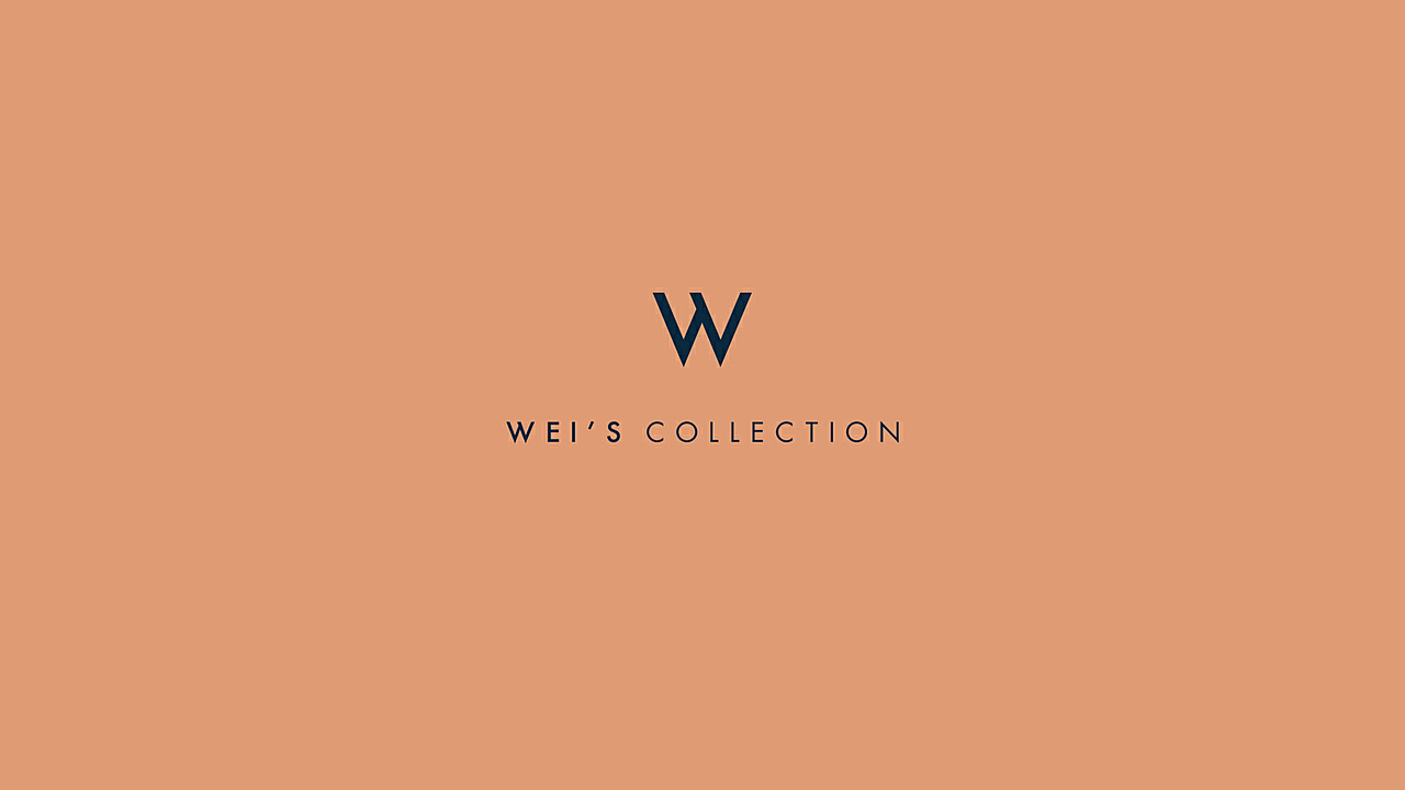 Brand Name Tie Collection