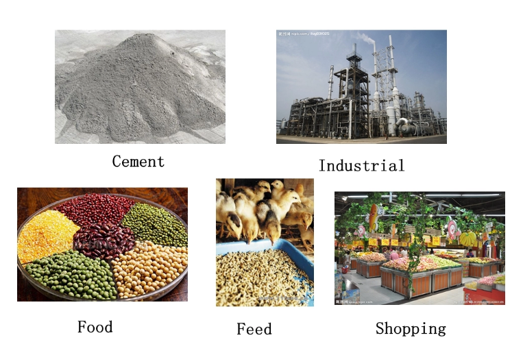 The Evolution of Food Powders and Their Impact on the Fashion Industry: The Case of Food Powder as a Fashion Accessory