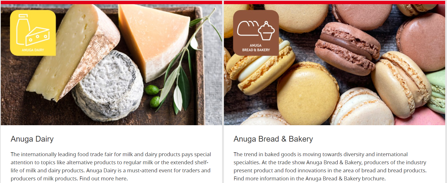 The Evolution of Food Powders and Their Impact on the Fashion Industry: The Case of Food Powder as a Fashion Accessory