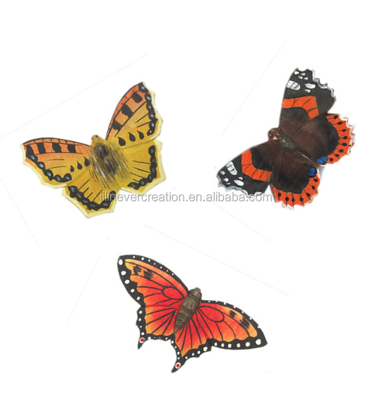 Butterfly Tie Image: Beauty and Symbolism