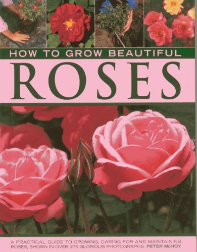 Title: How to Fold a Tie into a Rose: Step-by-Step Guide