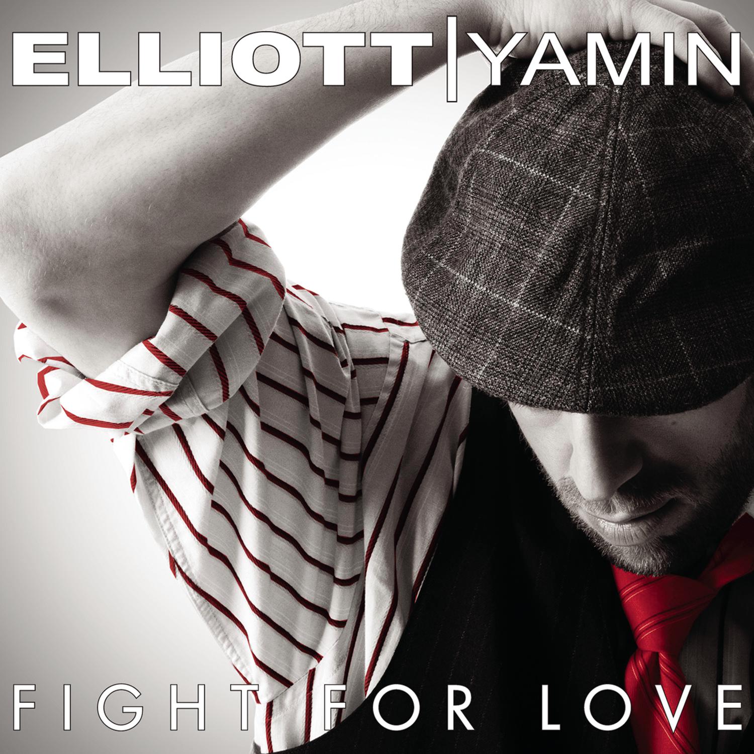 Title: The Art of Tie-Fighting: A Romantic Novel