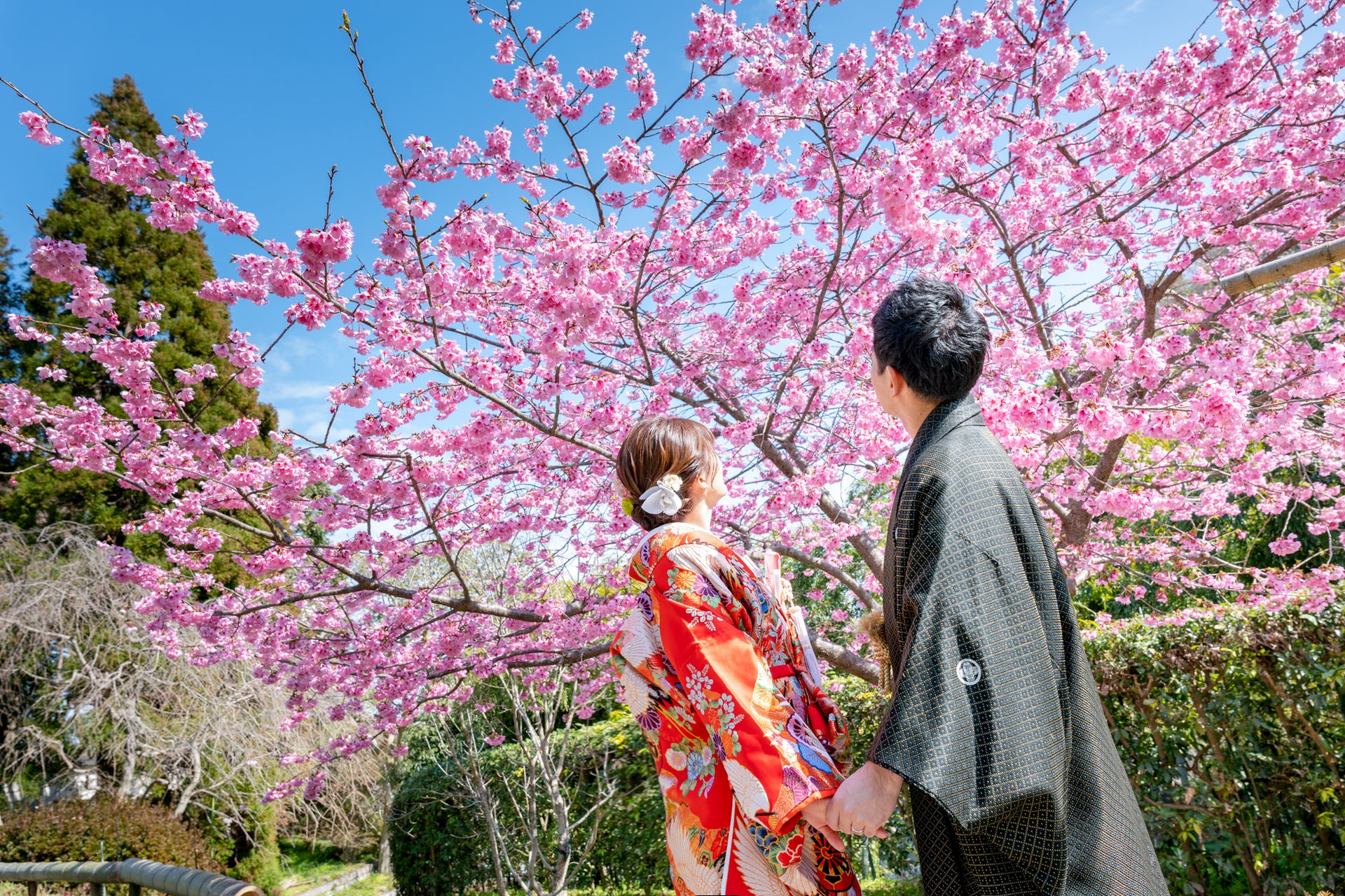 Title: Exploring the Style and Significance of Sakurajima Mais Tie