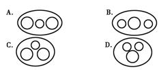 Title: Collar Styles: A Comparative Analysis of Prices and Images