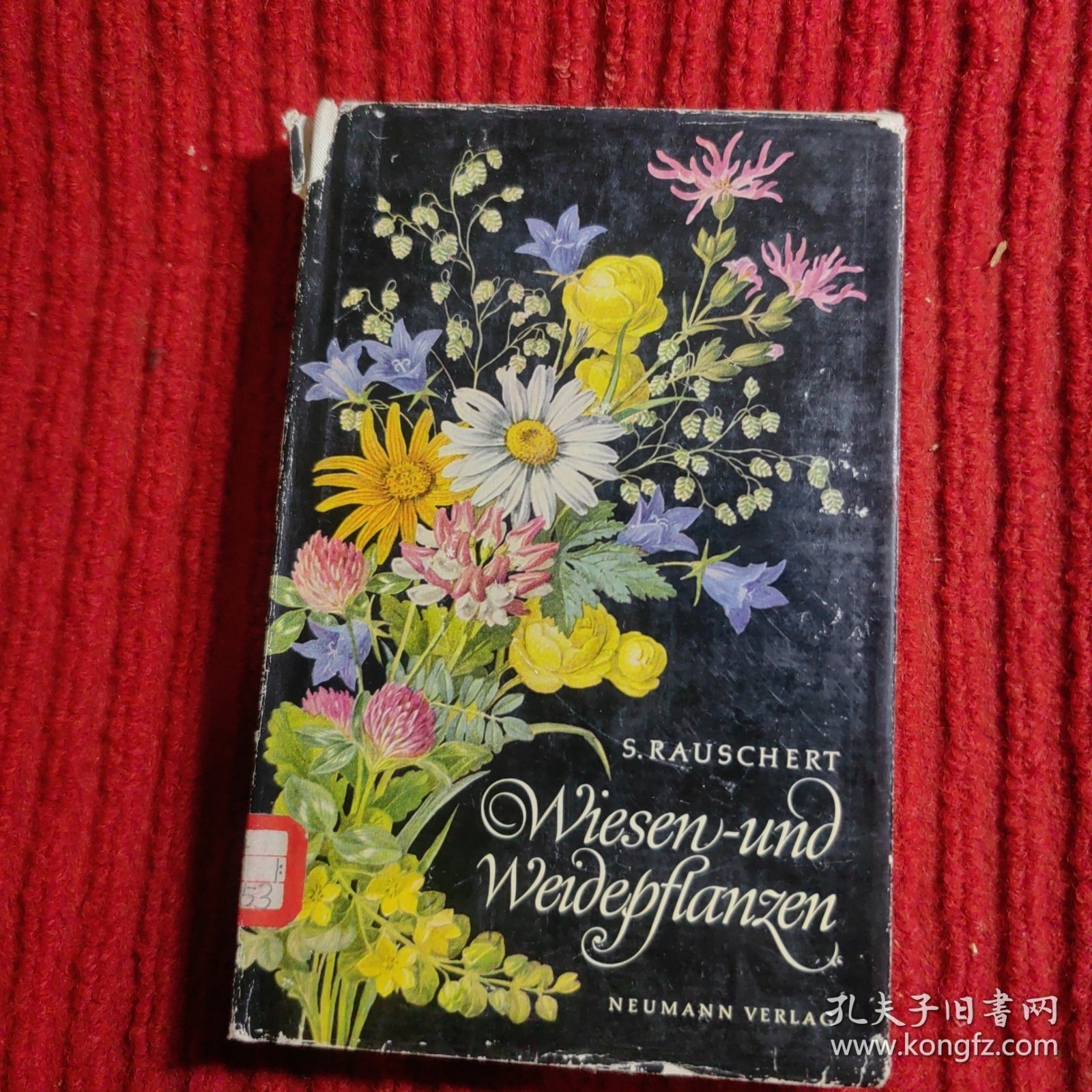 Title: Wu Yanzu and the Flower Tie