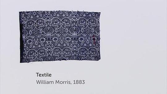 The Unique Charm of the Lesser-Known Flower Tie