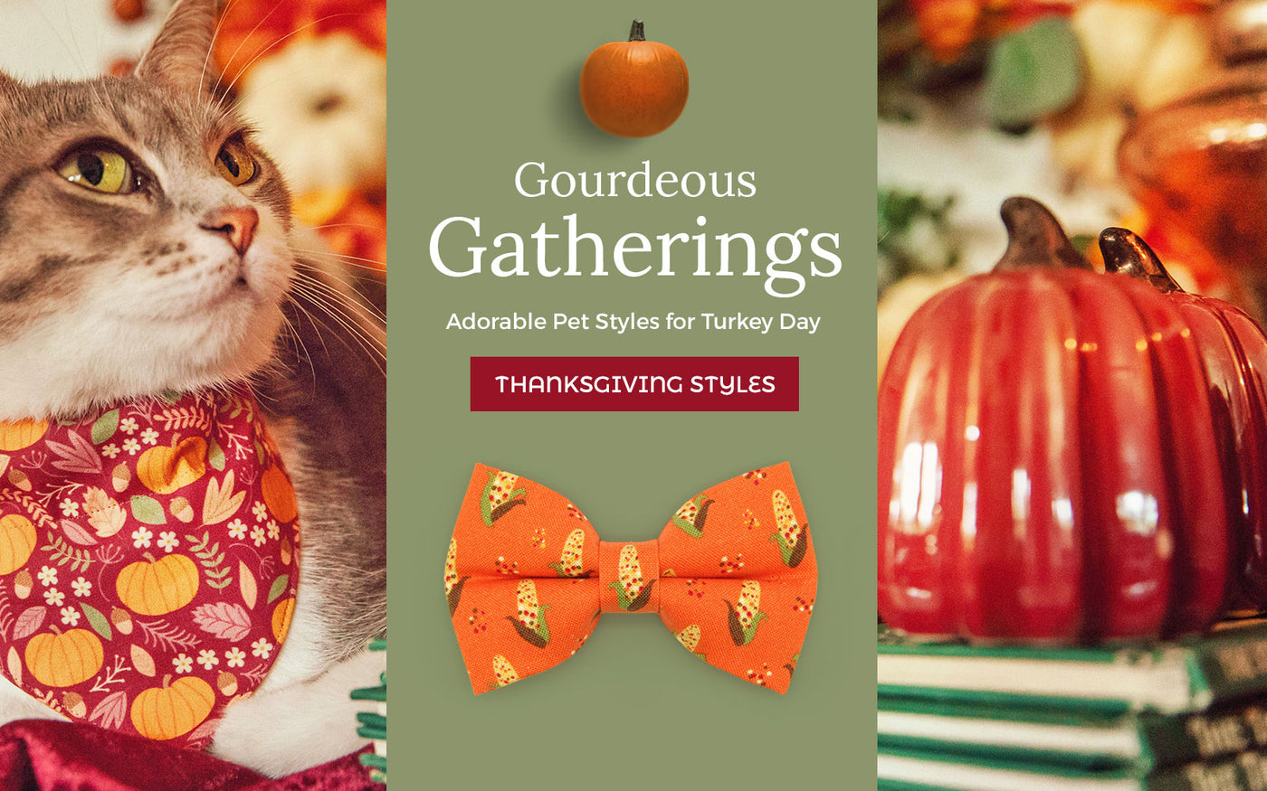Title: The Unique Fashion Statement of Pumpkin Cat Collars