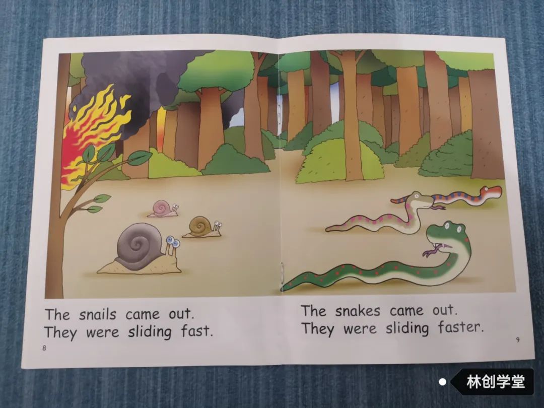 The Little Snails Tie