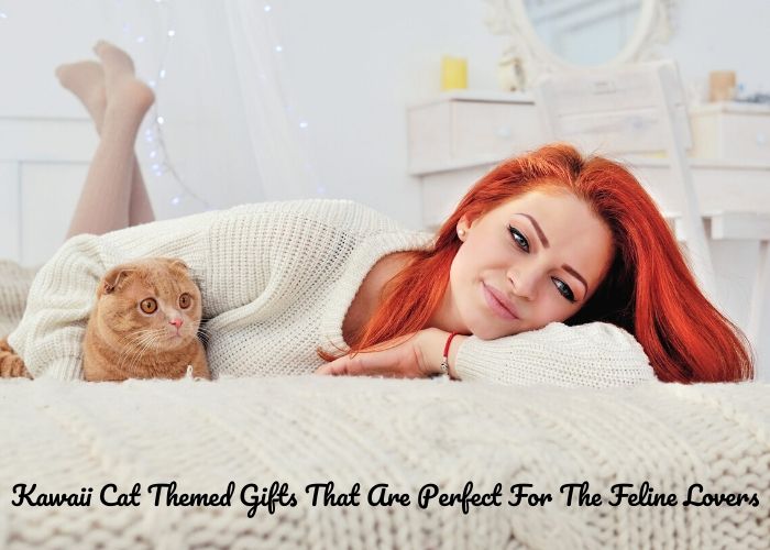 Title: Cat-Themed Neckties and Collars for Fashion-Forward Felines