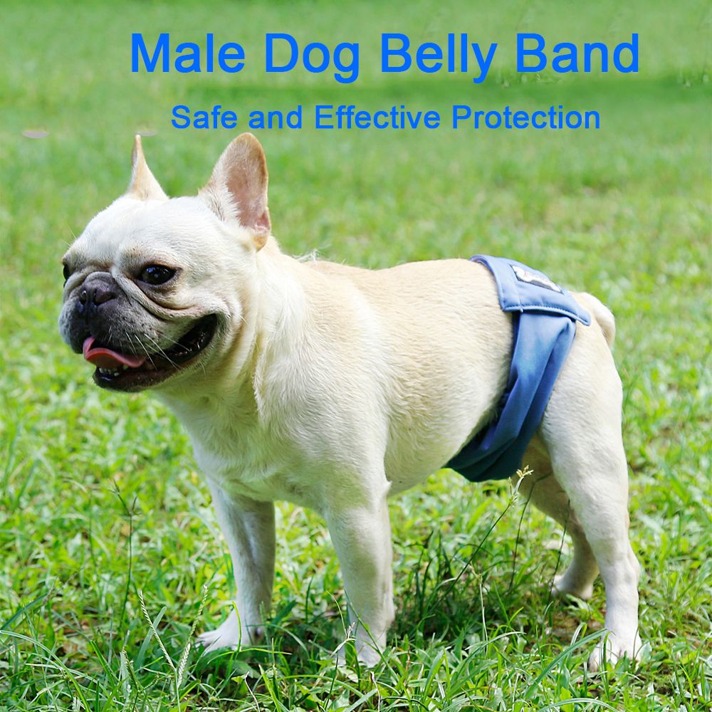 Title: The Perils of a Dog Biting a Tie