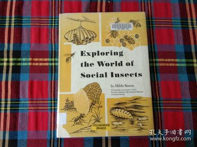 Title: Exploring the World of Luxury Ties and Scarves: A Comprehensive Guide to Top Brands