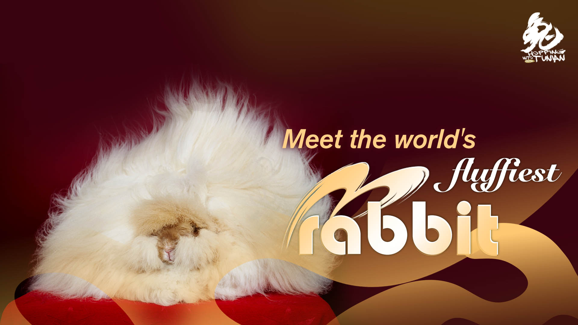 Title: The Enchanting World of the Rabbit Wearing a Tie: Unraveling the Mystery Behind the Brand