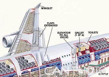 Title: A Comprehensive Guide to Hong Kong Duty-Free Shop Belt Brands