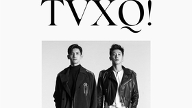 Title: The Allure of Mens Tie Brands and Leather Bags
