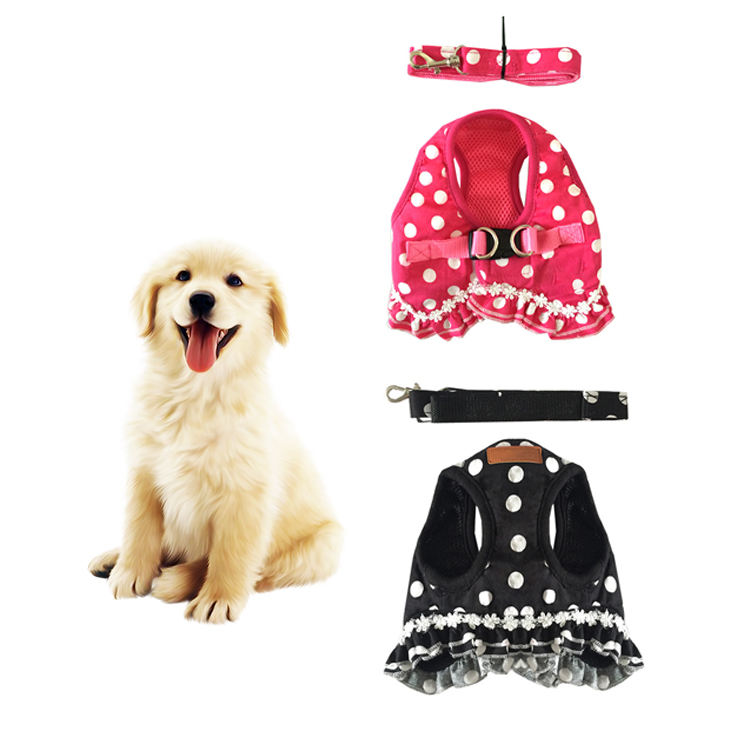 Title: Introducing Small Animal Bandwidth: The Perfect Accessory for the Fashion-Forward Female