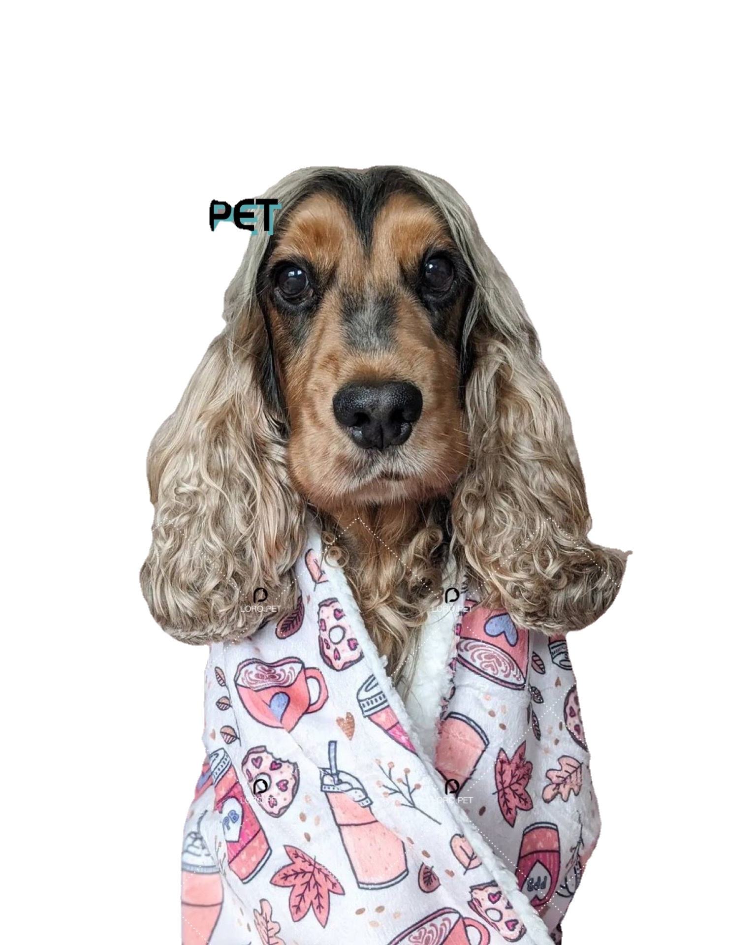 Title: Embracing Our Furry Friends: A Brand Focused on Dog-Patterned Collars and Clothes
