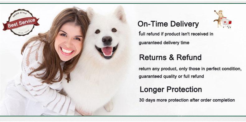 Title: Dog Collars: The Trendy and Stylish Brands You Need to Know