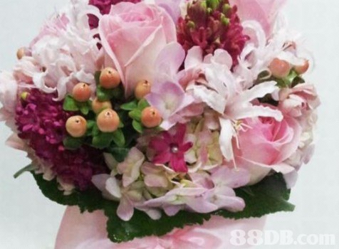 The Unique Charm of Flower-Patterned Business Ties