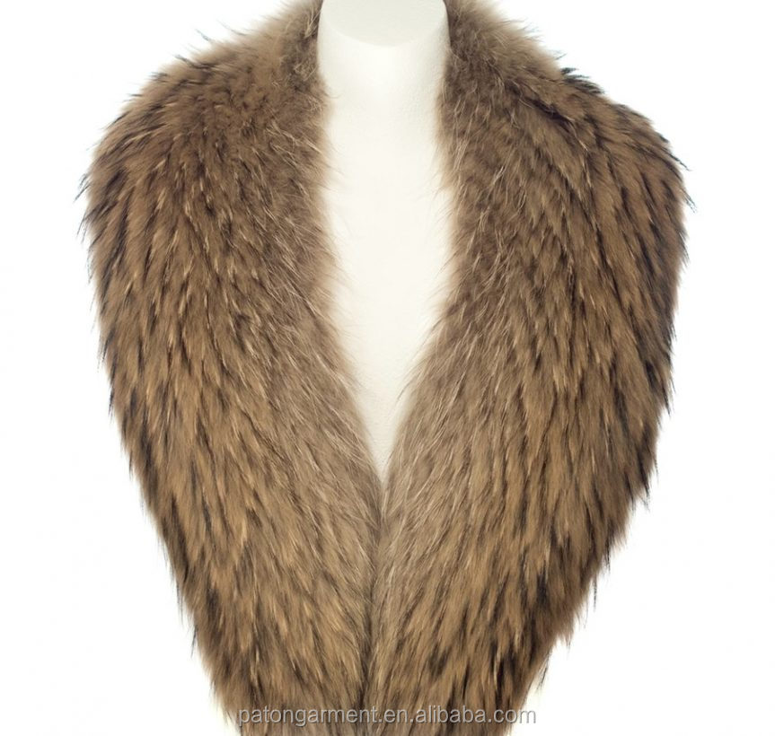 The Unique Charm of Mongoose Collar