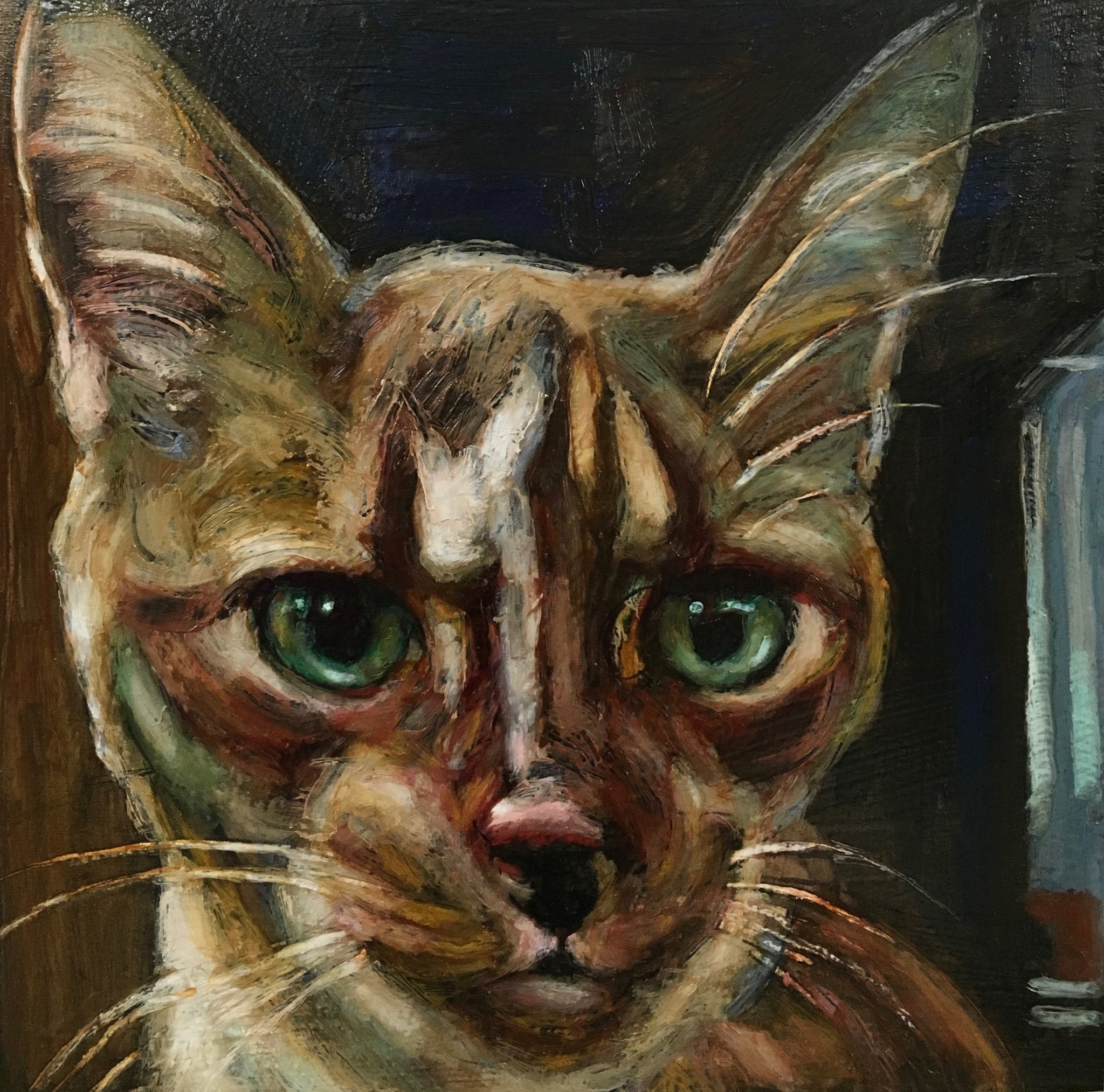 Title: The Unique Art of Tie-Dyeing Cats with Paintings