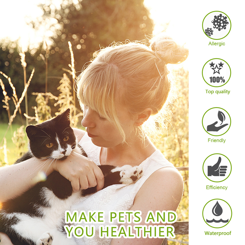 Title: Cat Collar Fashion: The Newest Trend for Fashion-Forward Cats