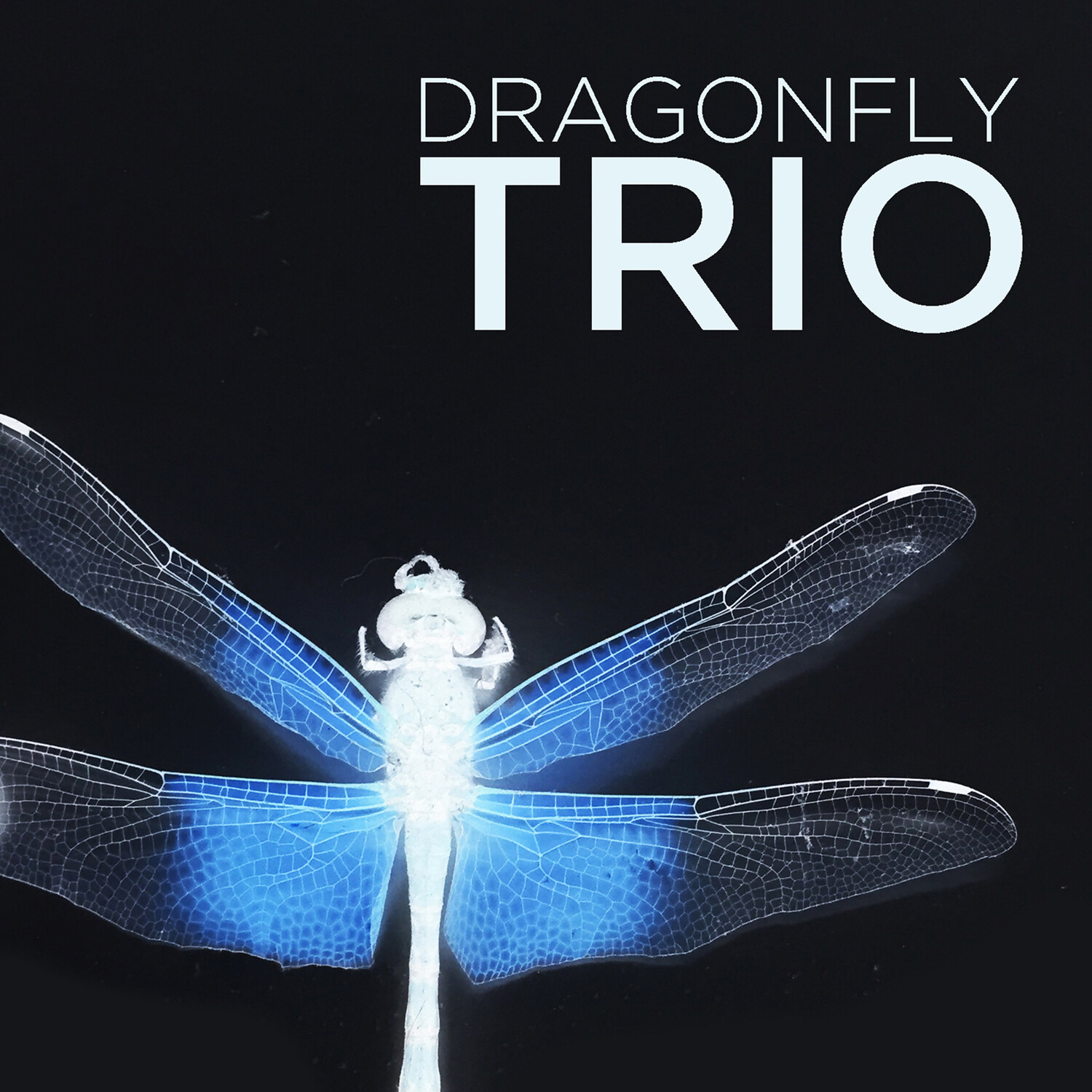 Title: The Story of the Dragonfly Tie