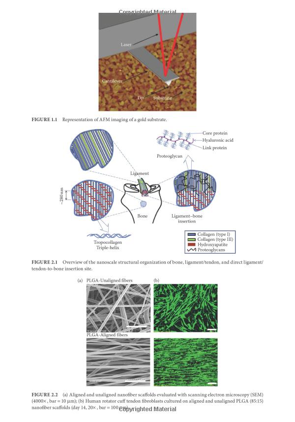Title: The Art and Science of Tie Structures: An In-Depth Exploration