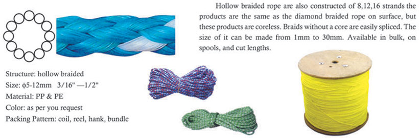 Title: The Tie That Binds: The Unseen Bond of Ropes