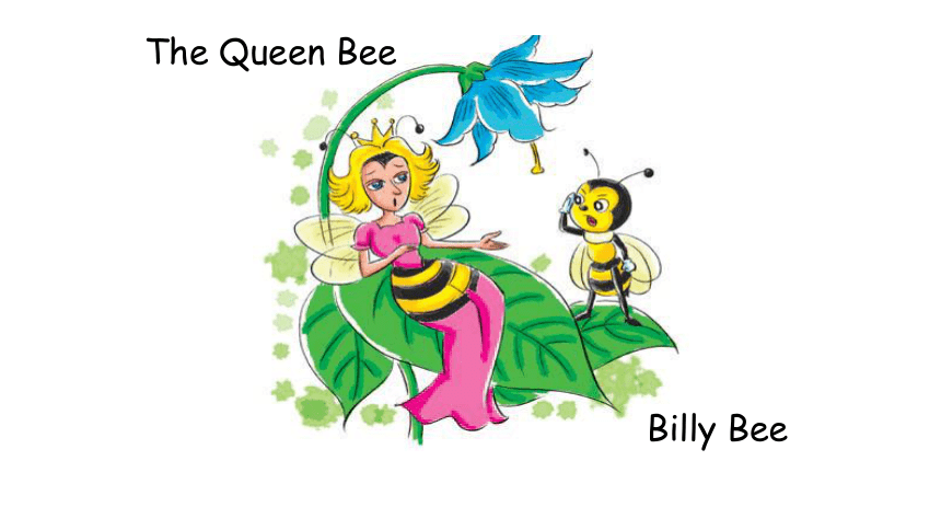 Title: Is Little Bee Brands Tie Good? A Review on知乎