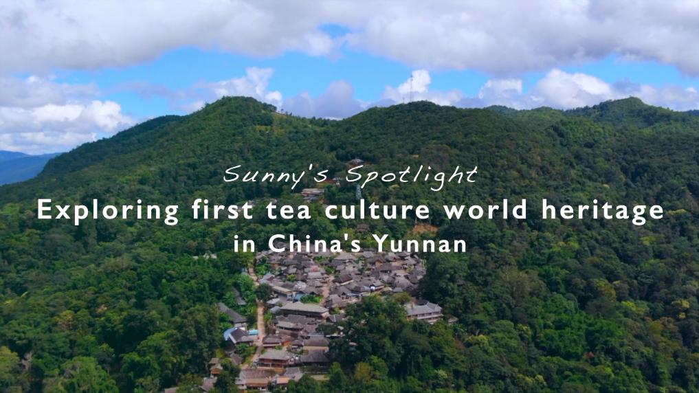 Title: Uncovering the Rich Heritage and Vibrant Culture of Shaanxis Yulin City through the Art of Tie-Dying