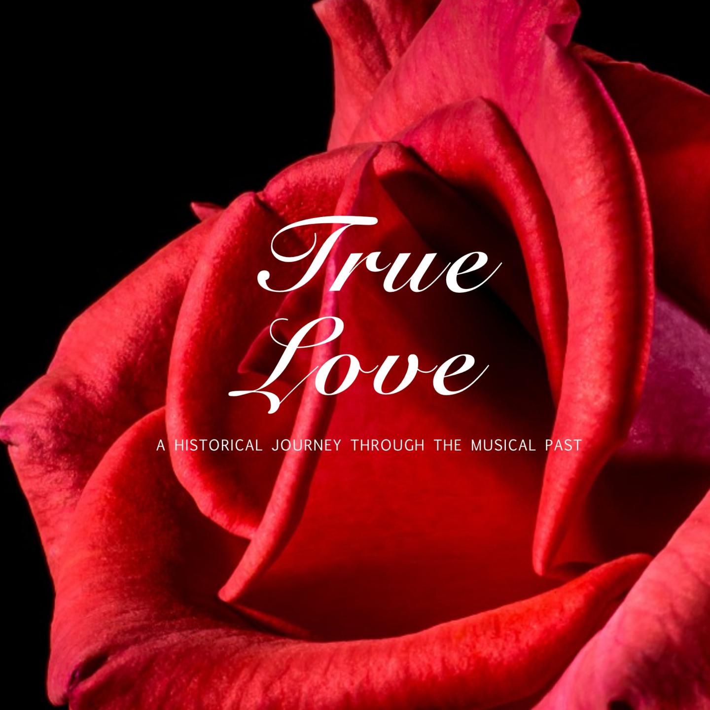 Title: A Red Rose Alice Tie: A Tale of Love, Adventure, and the Unforgettable Tie