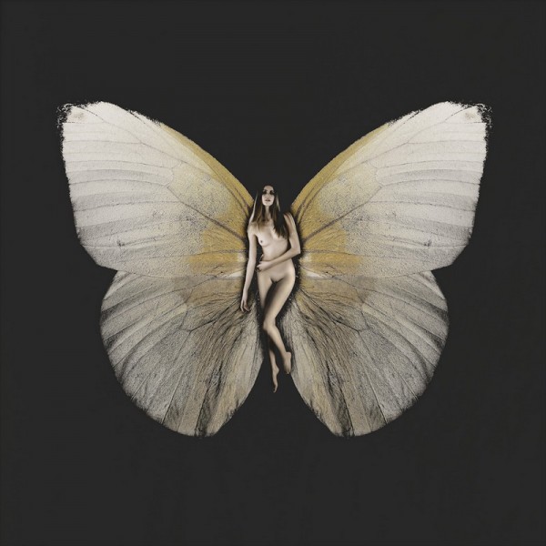 Title: The Artistic Butterfly Tie: A Masterpiece of Creativity and Elegance
