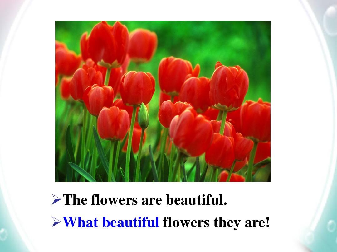 Title: The Perfect Match: How Flowers and Ties Complement Each Other