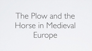 Title: The Dutch Tulip and Its Impact on the World