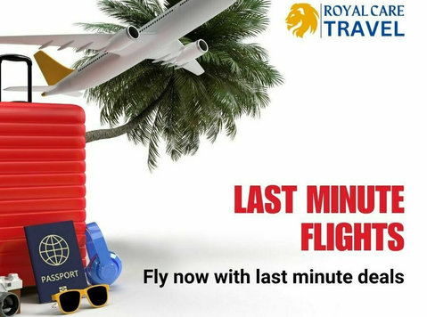 Tragic Reunion: The Unforgettable Journey of an Airlines Lifeline: A Planes Lost Tie