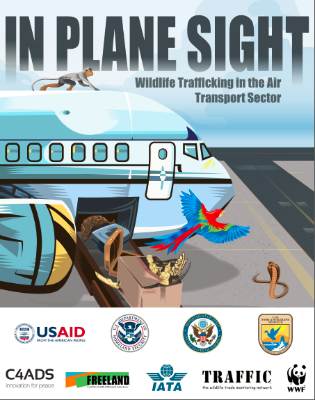 Tragic Reunion: The Unforgettable Journey of an Airlines Lifeline: A Planes Lost Tie