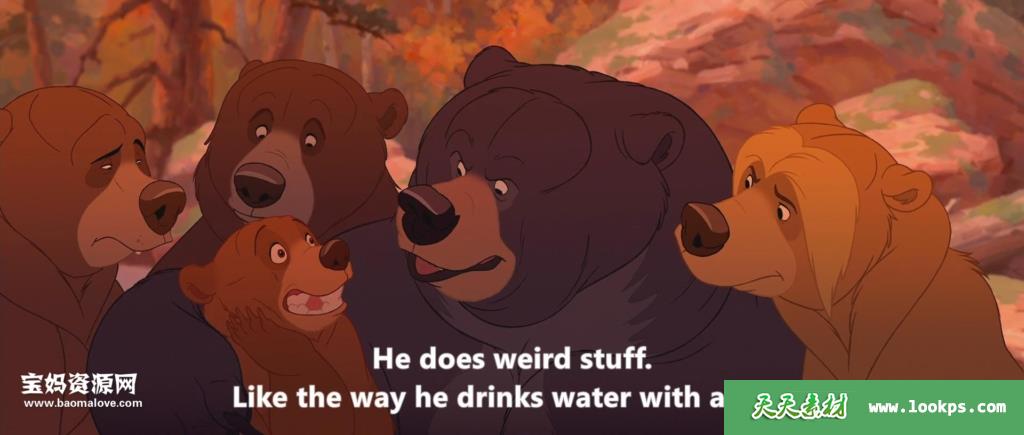 Title: The Adventures of the Blue Bear in a Tie